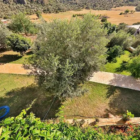 Calikusu Kalkan Kas
